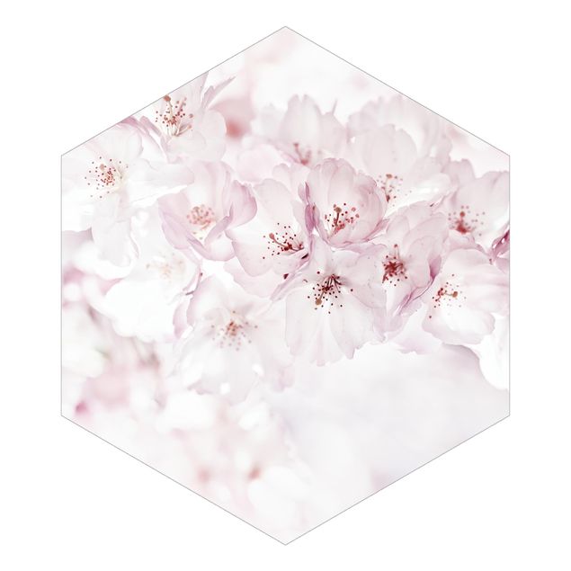 papier peint xxl A Touch Of Cherry Blossoms