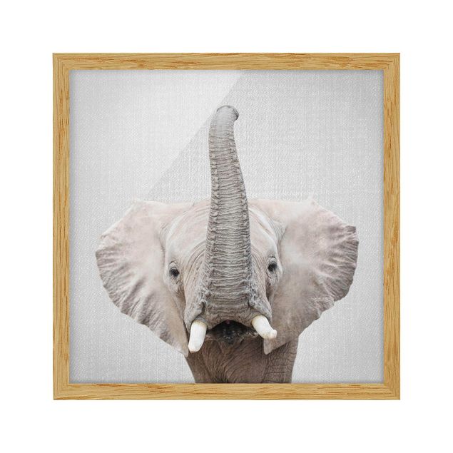 Affiches encadrées animaux Éléphant Ewald