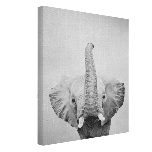 Tableaux sur toile en noir et blanc Elephant Ewald Noir et Blanc