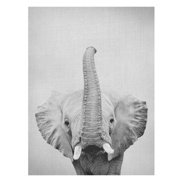 Tableau moderne Elephant Ewald Noir et Blanc