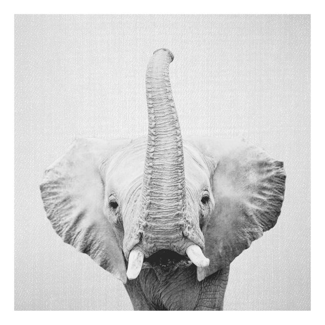 Tableaux animaux Elephant Ewald Noir et Blanc