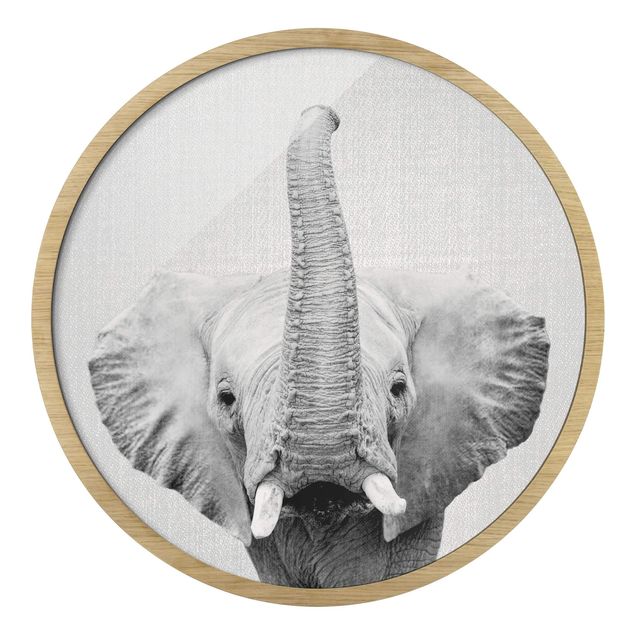 Tableaux encadrés animaux Elephant Ewald Noir et Blanc