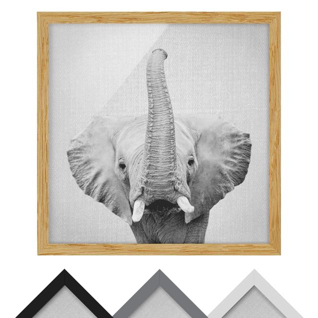 Tableaux noir et blanc Elephant Ewald Noir et Blanc