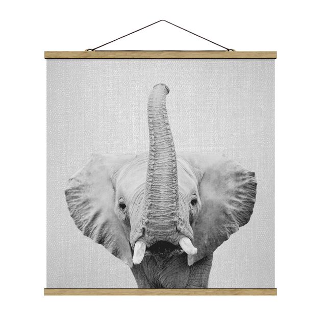 Tableaux moderne Elephant Ewald Noir et Blanc
