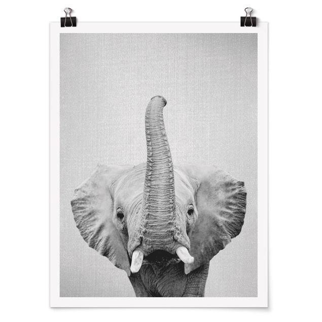 Tableaux moderne Elephant Ewald Noir et Blanc