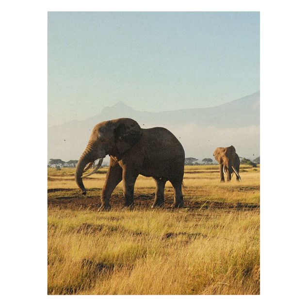 Toile éléphant Eléphants devant le Kilimandjaro au Kenya