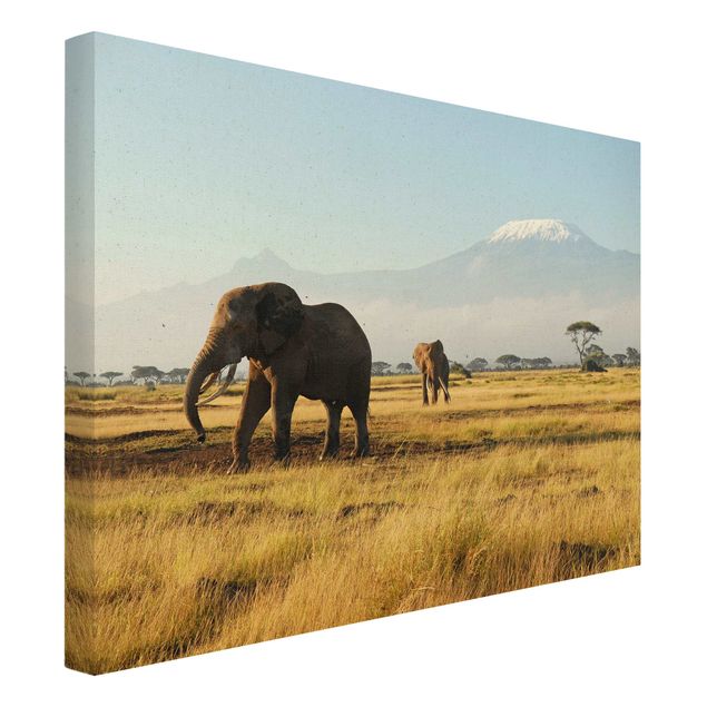Toile afrique Eléphants devant le Kilimandjaro au Kenya