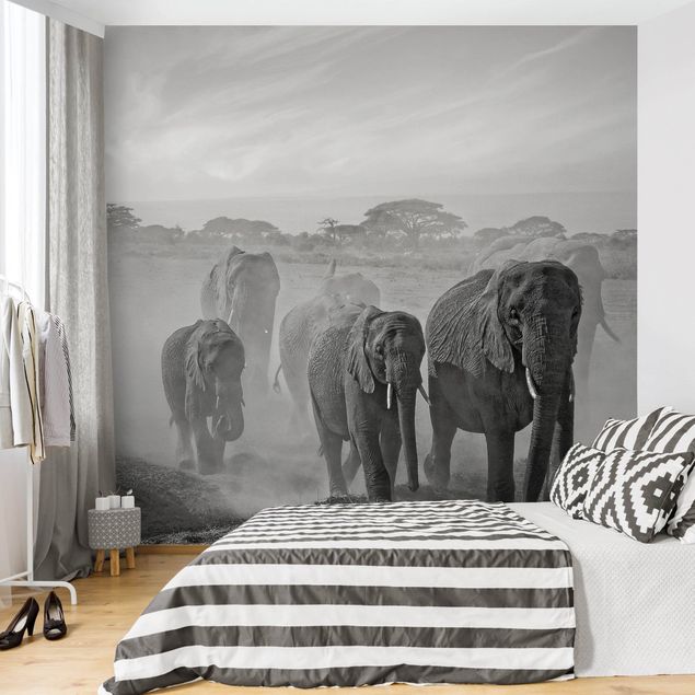 Papier peint éléphants Troupeau d'éléphants