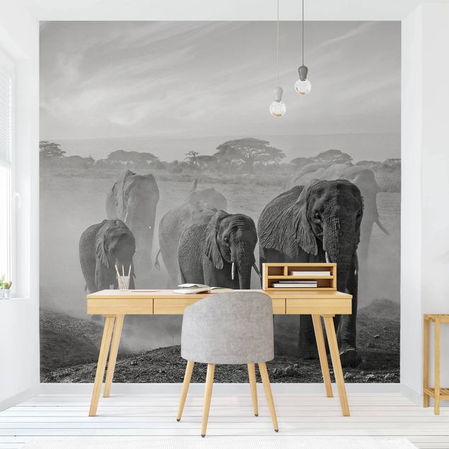 Papier peint Afrique Troupeau d'éléphants