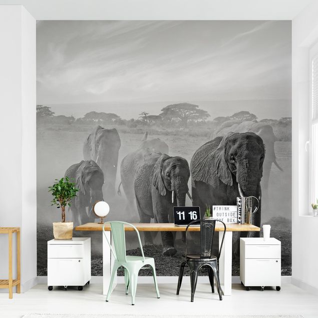 Papier peint moderne Troupeau d'éléphants