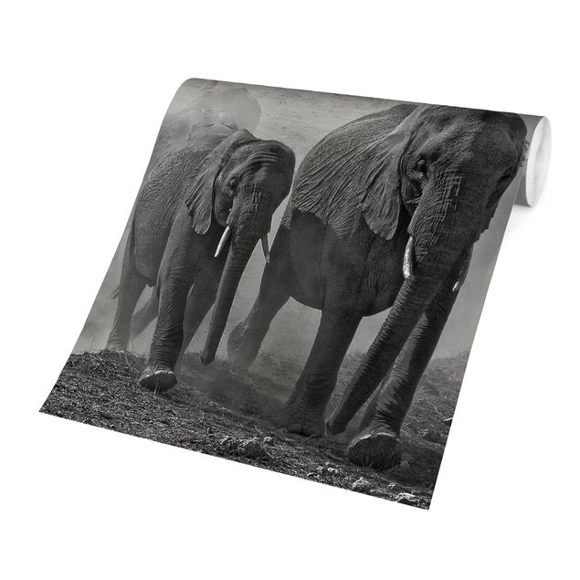 Papier peint animaux Troupeau d'éléphants