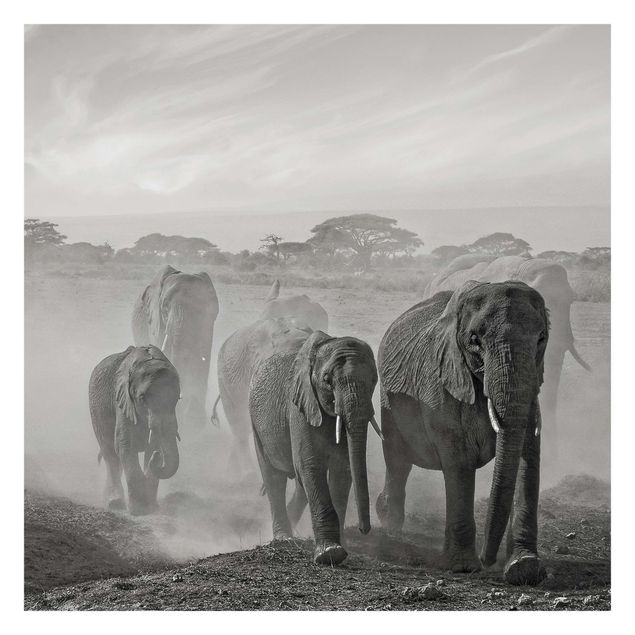 Papier peint paysage Troupeau d'éléphants