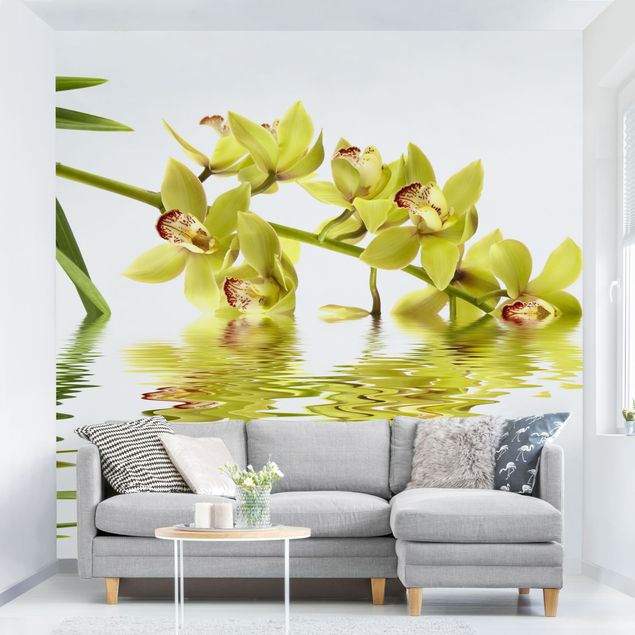Déco murale cuisine Eaux élégantes d'orchidées