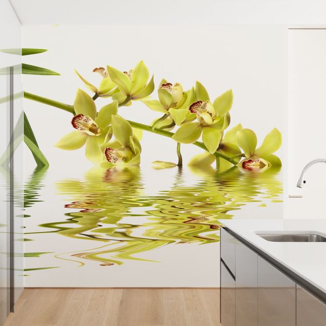 Papiers peints modernes Eaux élégantes d'orchidées
