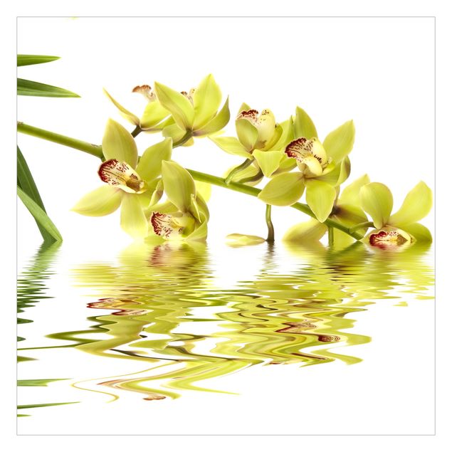 Tapisserie blanche Eaux élégantes d'orchidées