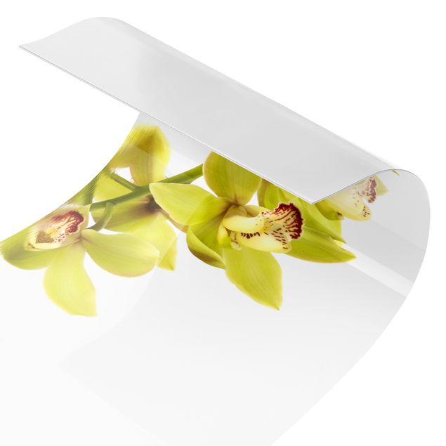 Crédence cuisine Eaux élégantes d'orchidées