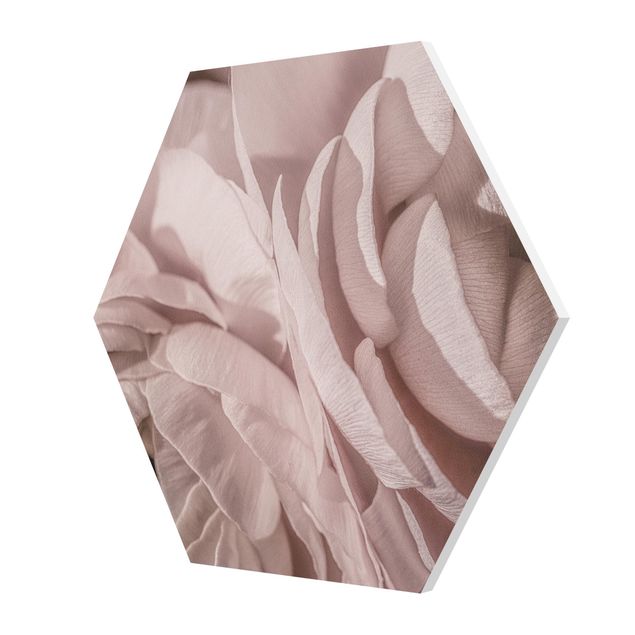 Tableau couleur rose Fleur rougissante