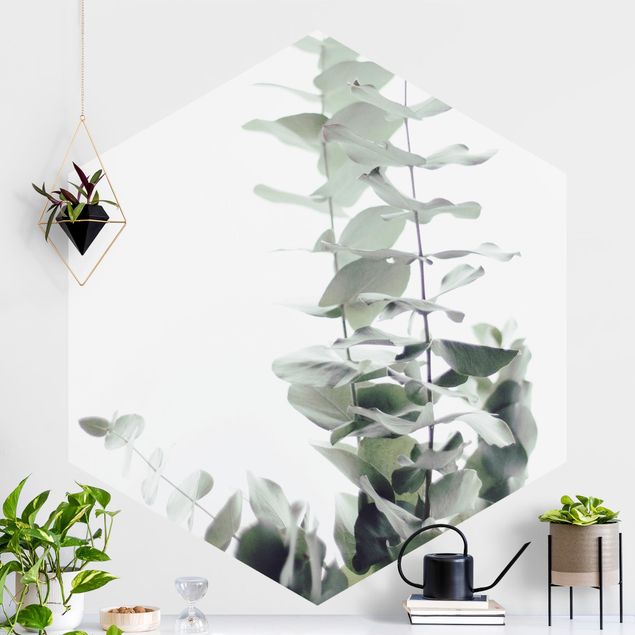 Déco murale cuisine Eucalyptus dans la lumière blanche