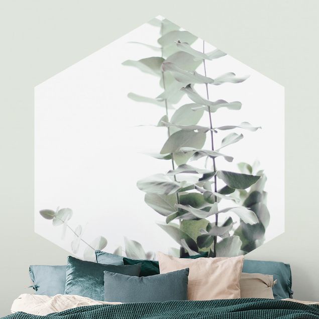 Papiers peints modernes Eucalyptus dans la lumière blanche