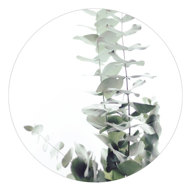 Papier peint rond autocollant - Eucalyptus In White Light