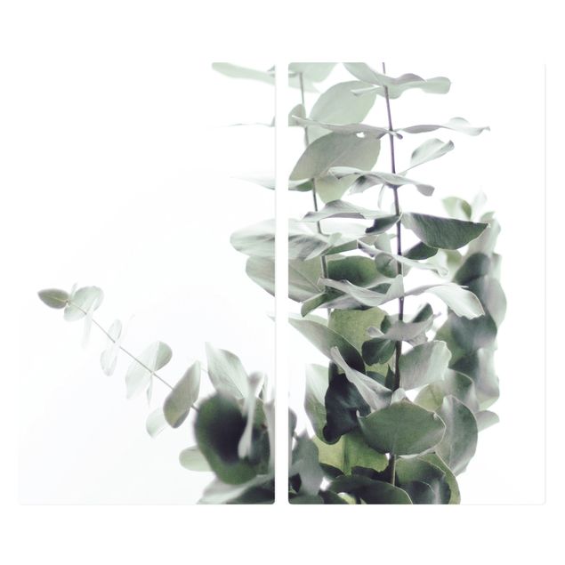 Cache plaques de cuisson - Eucalyptus In White Light