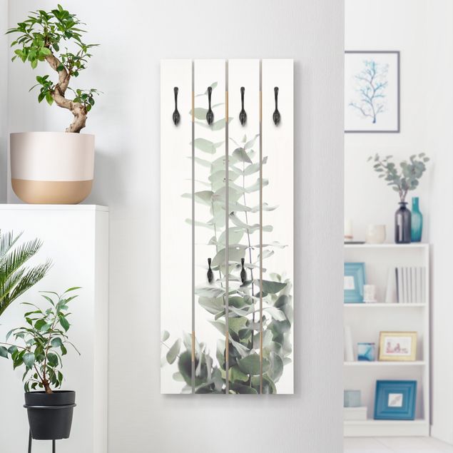Porte-manteaux muraux avec fleurs Eucalyptus dans la lumière blanche