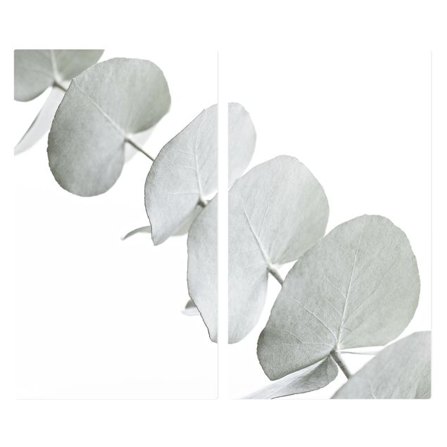 Cache plaques de cuisson - Eucalyptus Branch In White Light
