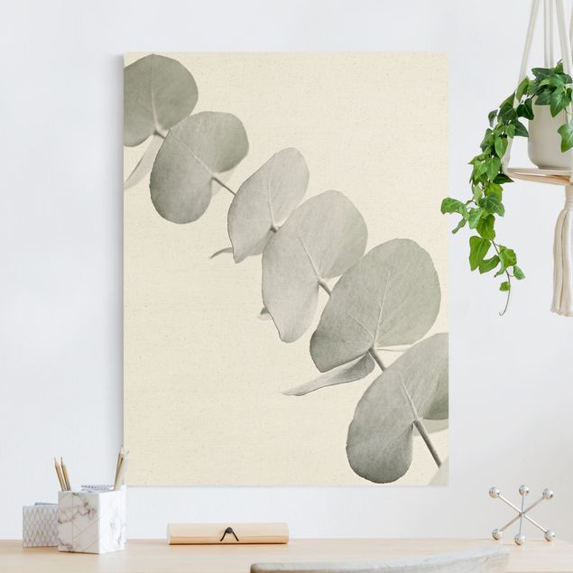 Déco mur cuisine Branche d'eucalyptus dans la lumière blanche