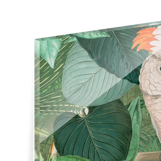 Fond de hotte - Vintage Collage - Cockatoo And Hummingbird