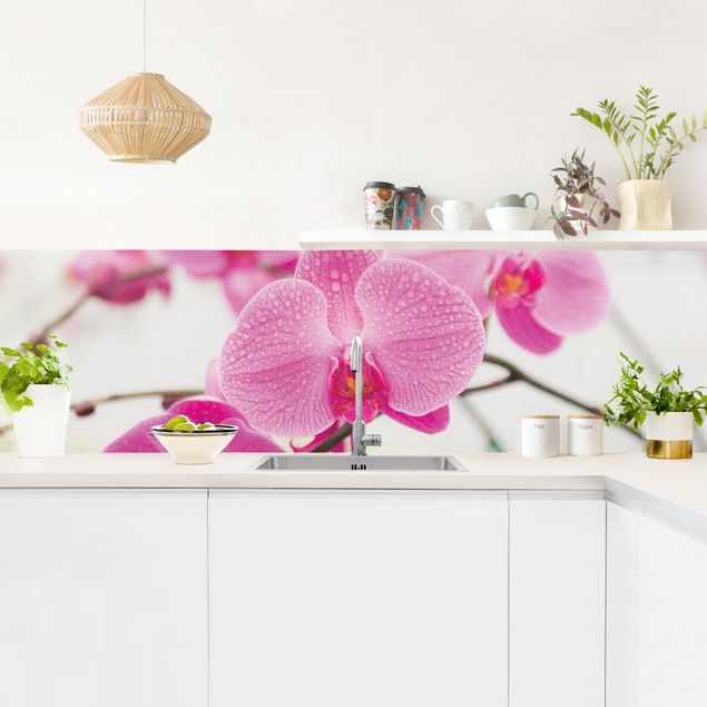 Crédence cuisine fleurs Gros plan sur une orchidée