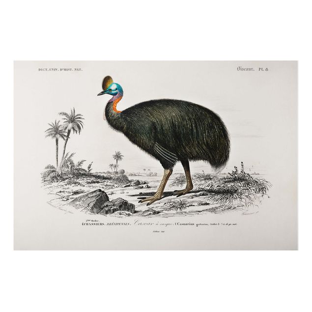 Tableau paysages Tableau Vintage Emu