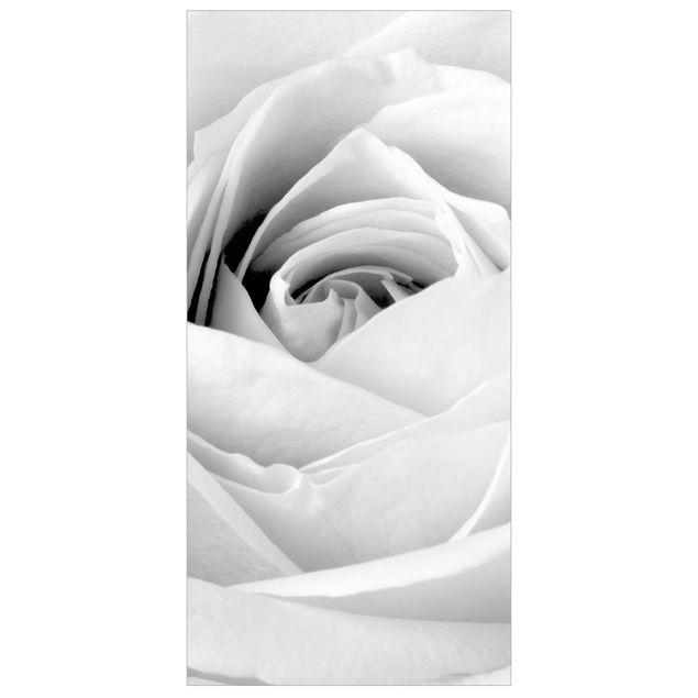 Panneau de séparation - Close Up Rose