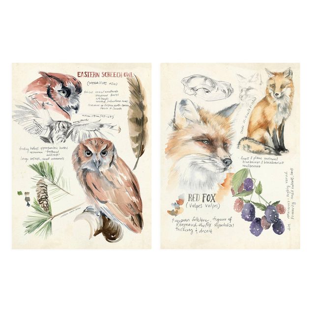 Tableaux muraux Journal de la nature sauvage - hibou et renard Lot I