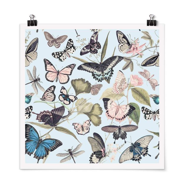 Cadre animaux Collage Vintage - Papillons et Libellules