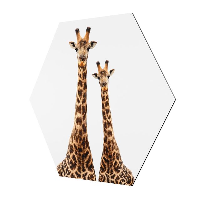 Tableau hexagonal Portait de deux girafes