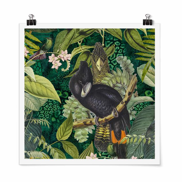Tableau fleurs Collage coloré - Cacatoès dans la jungle