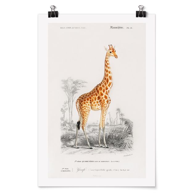 Tableaux afrique Tableau Vintage Girafe