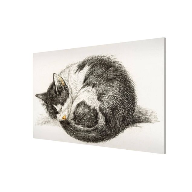 Tableau animaux Vintage Drawing Cat II