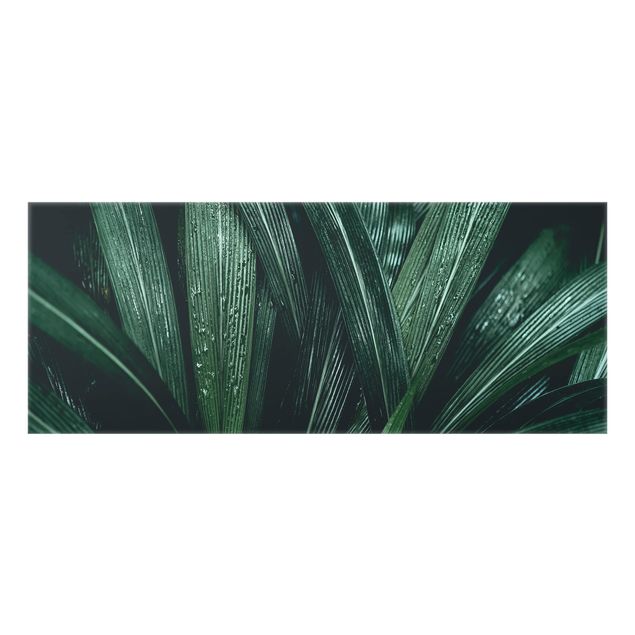 Fond de hotte - Green Palm Leaves