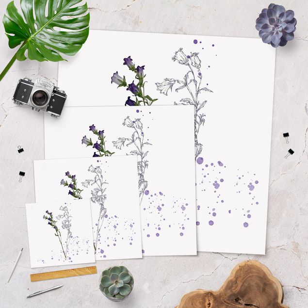 Poster - Botanical Watercolour - Bellflower