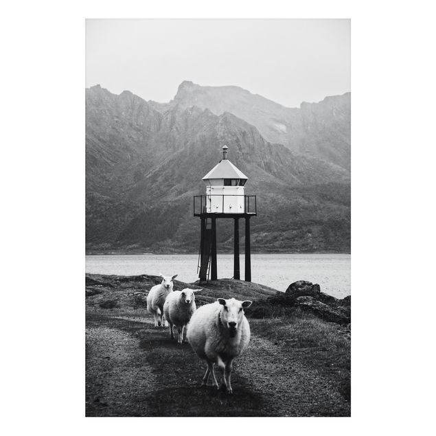 Tableaux modernes Trois moutons sur les Lofoten