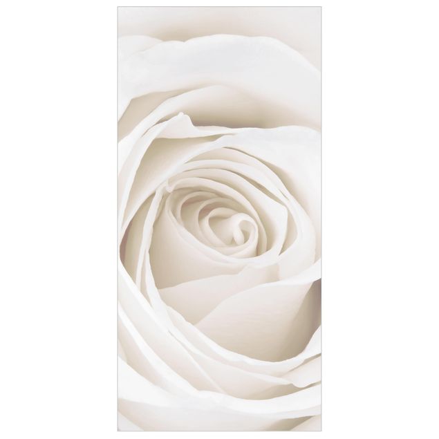 Panneau de séparation - Pretty White Rose