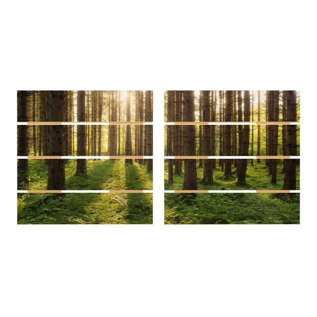Tableaux Rayons de soleil dans une forêt verte