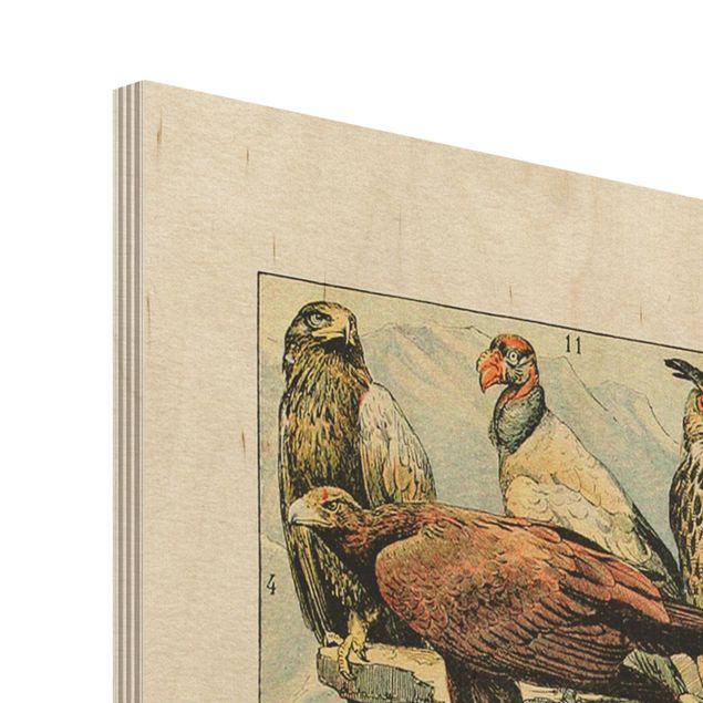 Impression sur bois Tableau Vintage Oiseaux