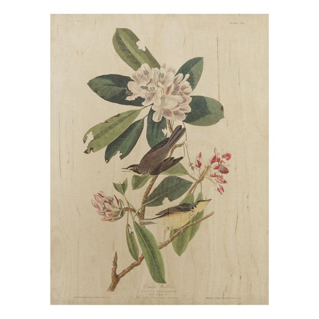 Tableaux en bois avec fleurs Tableau Botanique Warbler