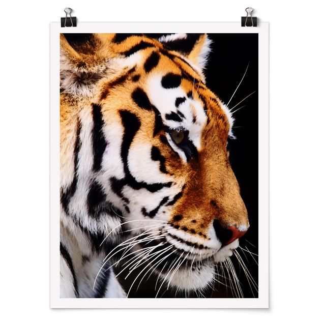 Tableaux animaux Beauté du tigre