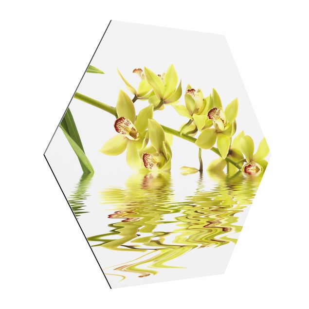 Tableaux fleurs Eaux élégantes d'orchidées
