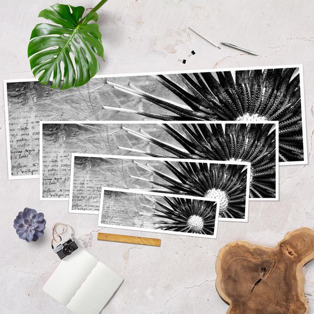 Poster fleurs - Dandelion Black & White