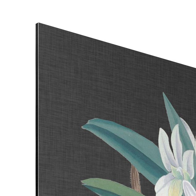 Tableau floral mural Orchidée blanche sur lin I