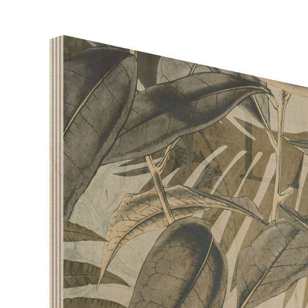 Tableaux muraux Collage vintage - Toucan dans la jungle